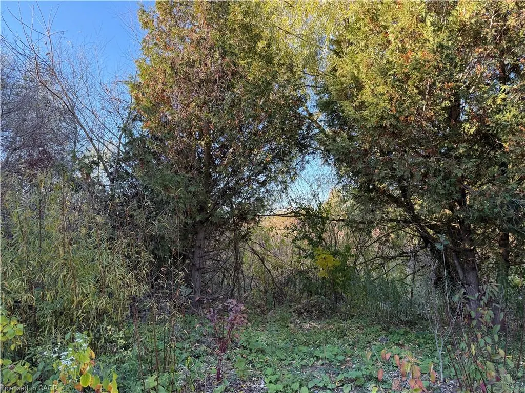 425 Old Oak Drive, #Upper