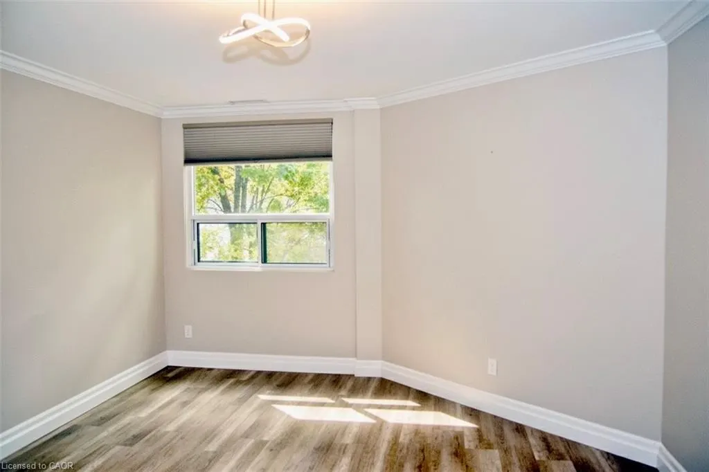 20 Ellen Street E, #204