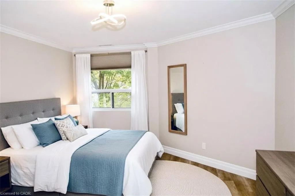 20 Ellen Street E, #204