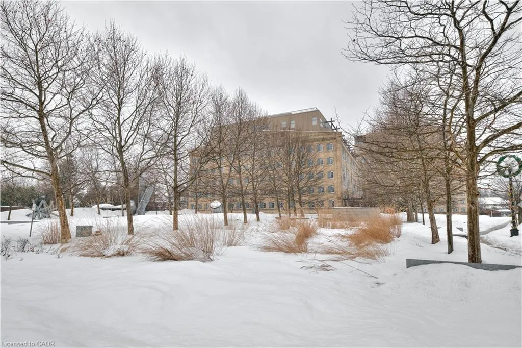 3 Father David Bauer Drive, #305