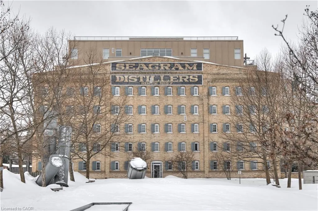 3 Father David Bauer Drive, #305