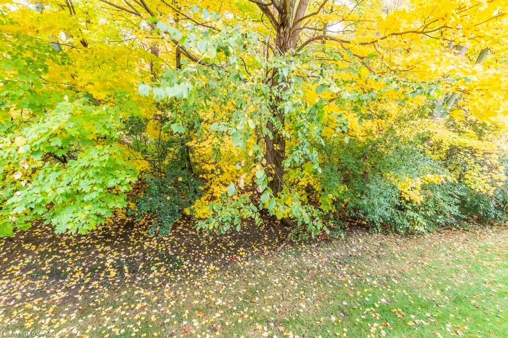 235 Saginaw Parkway, #46