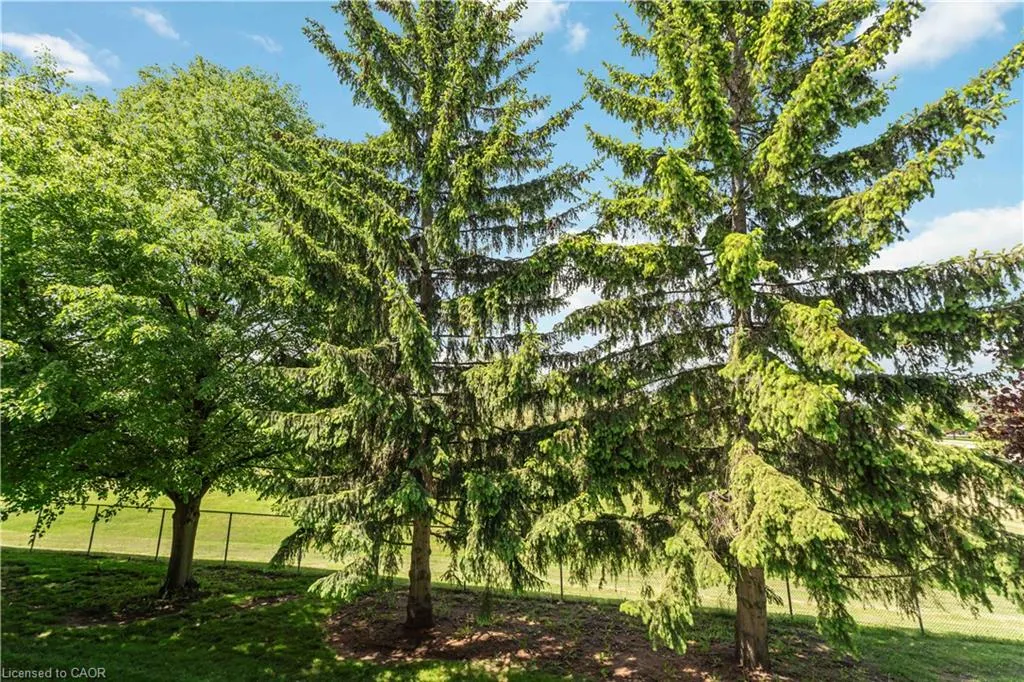 970 Golf Links Road #205