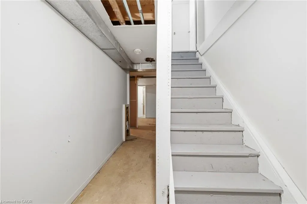 1 Mccuaig Court