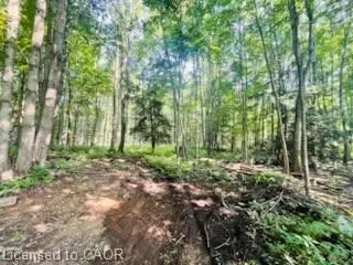 330 13th Concession Road