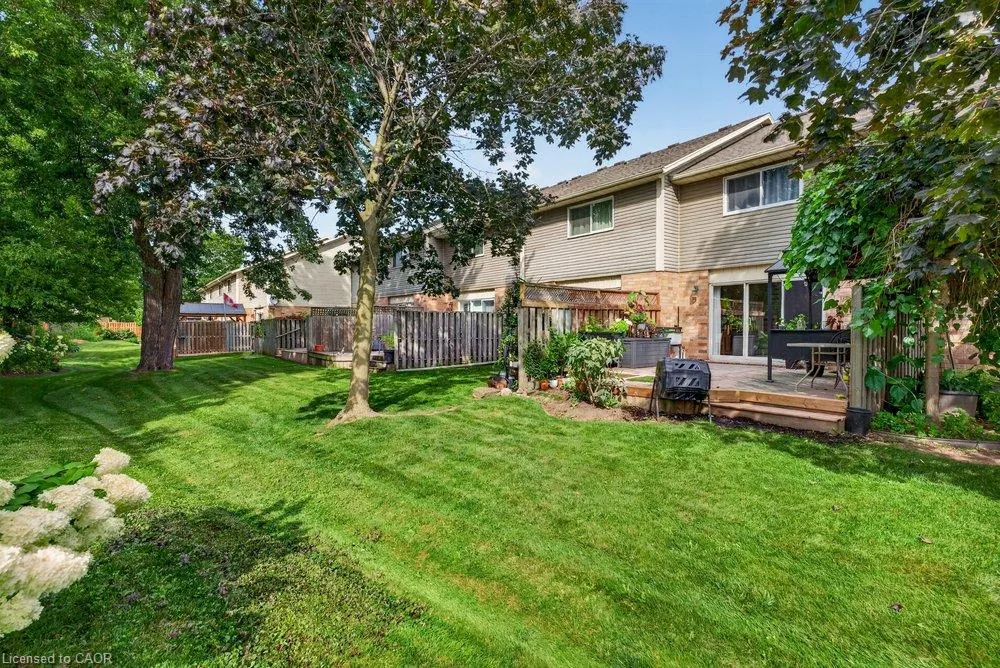 44 Frances Avenue #11