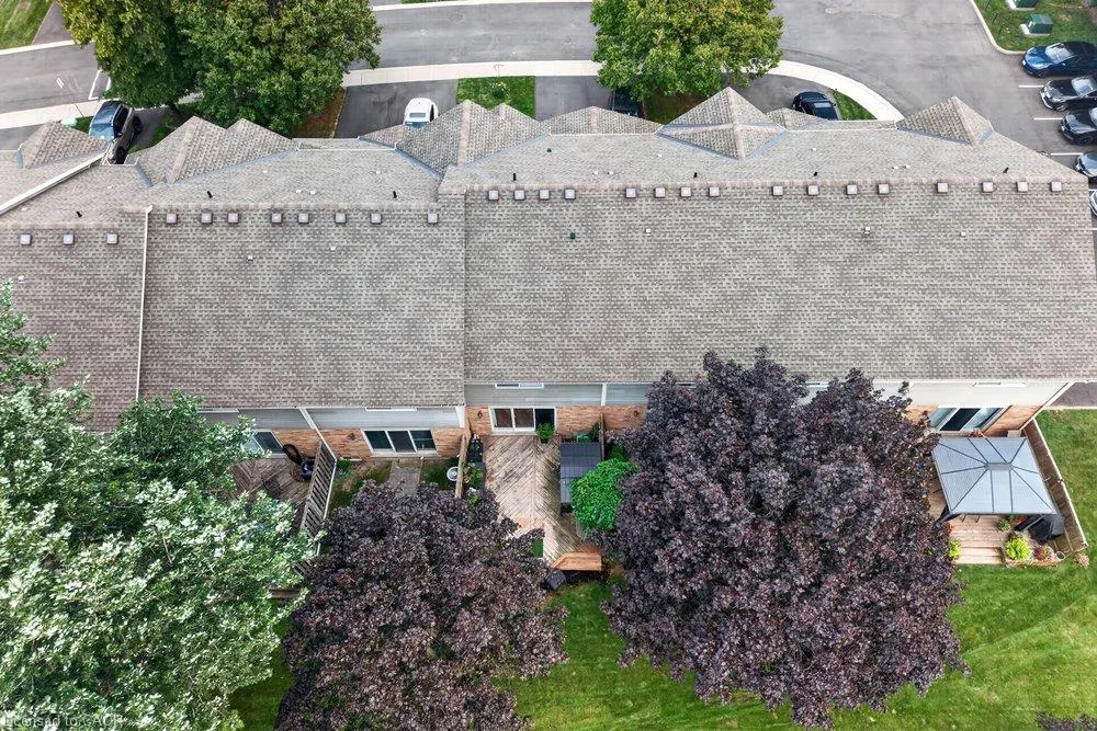 44 Frances Avenue #11