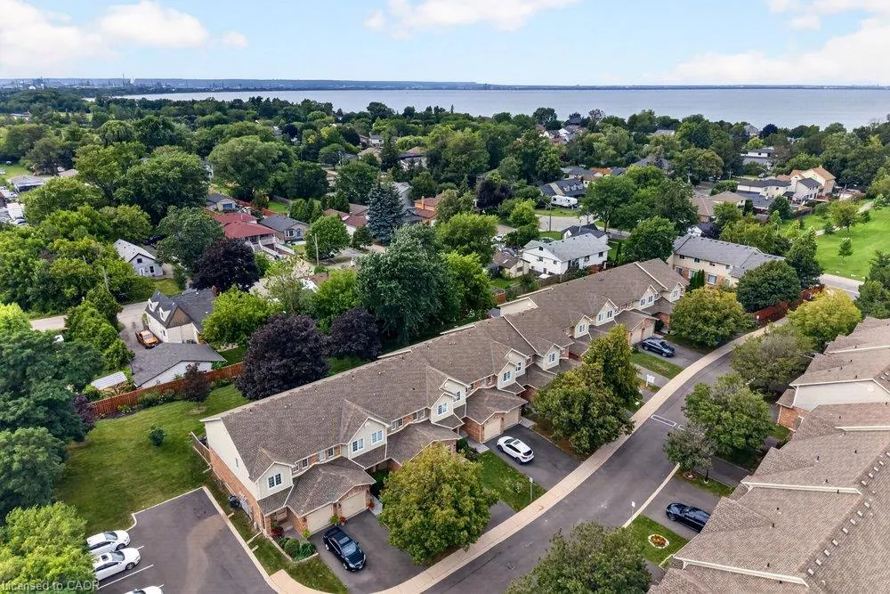 44 Frances Avenue #11