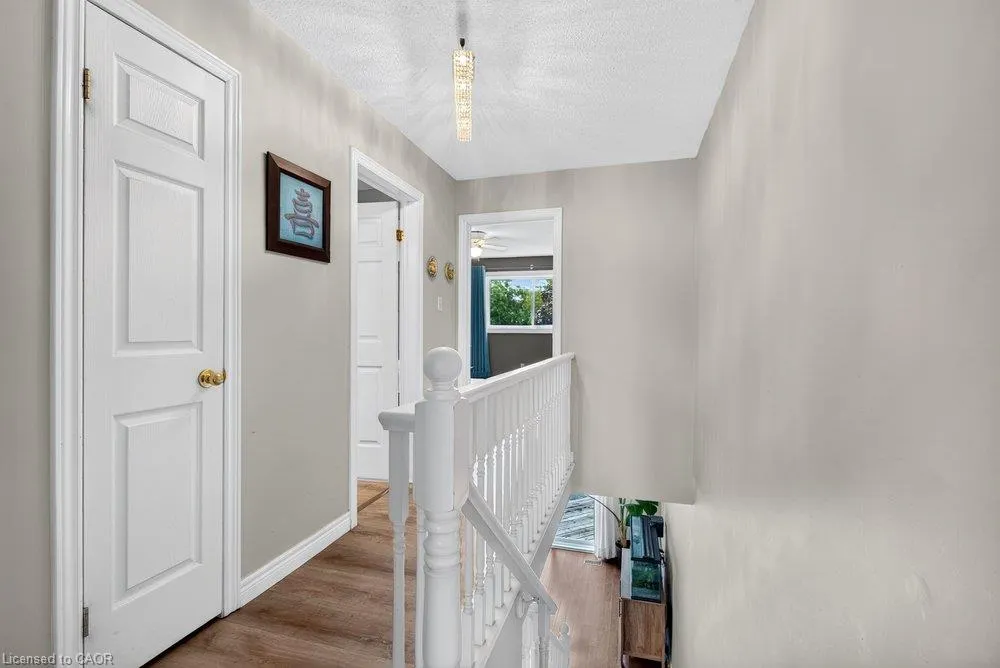 44 Frances Avenue #11