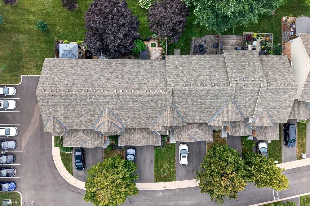 44 Frances Avenue #11