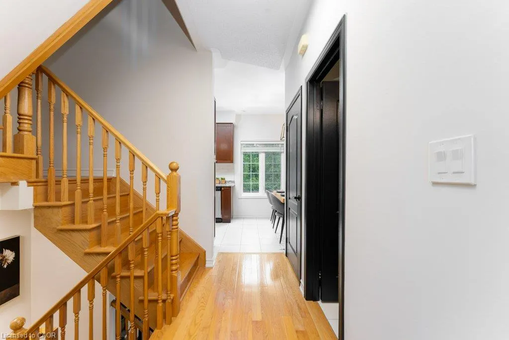 1115 Haig Boulevard #3