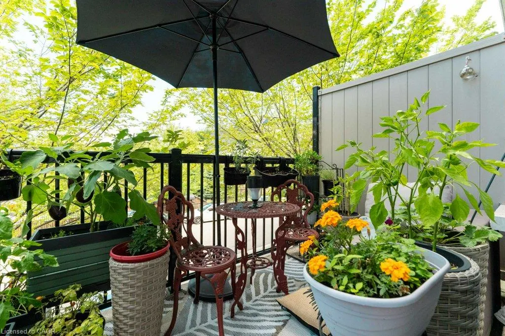 1115 Haig Boulevard #3
