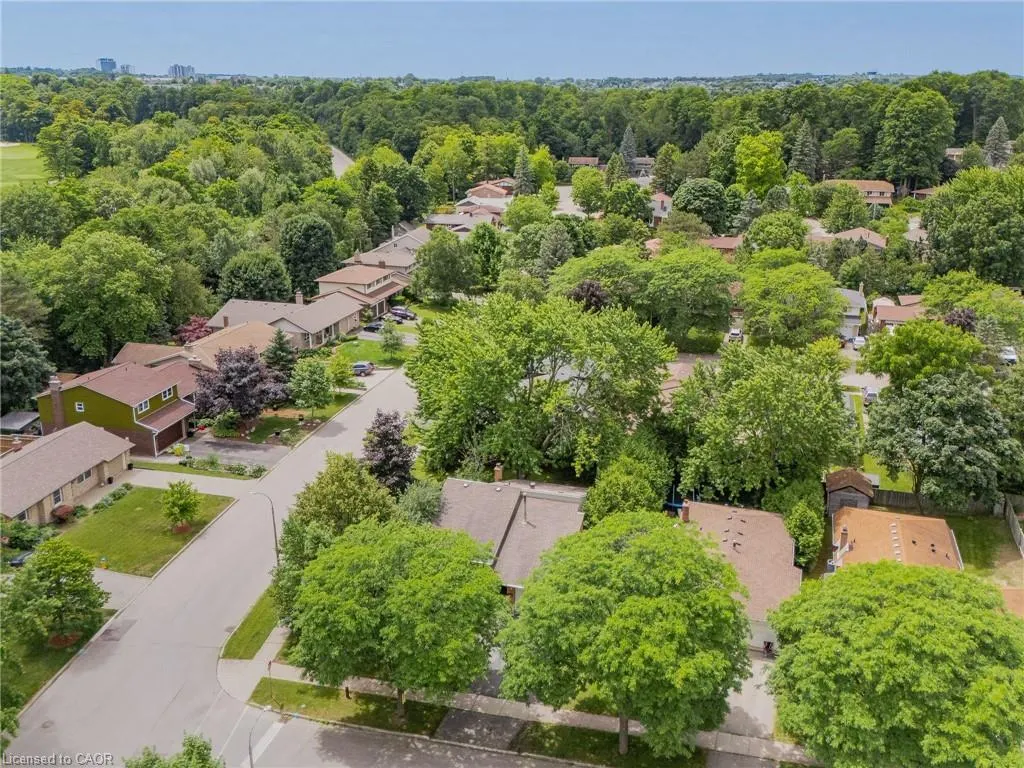 31 Mulberry Lane