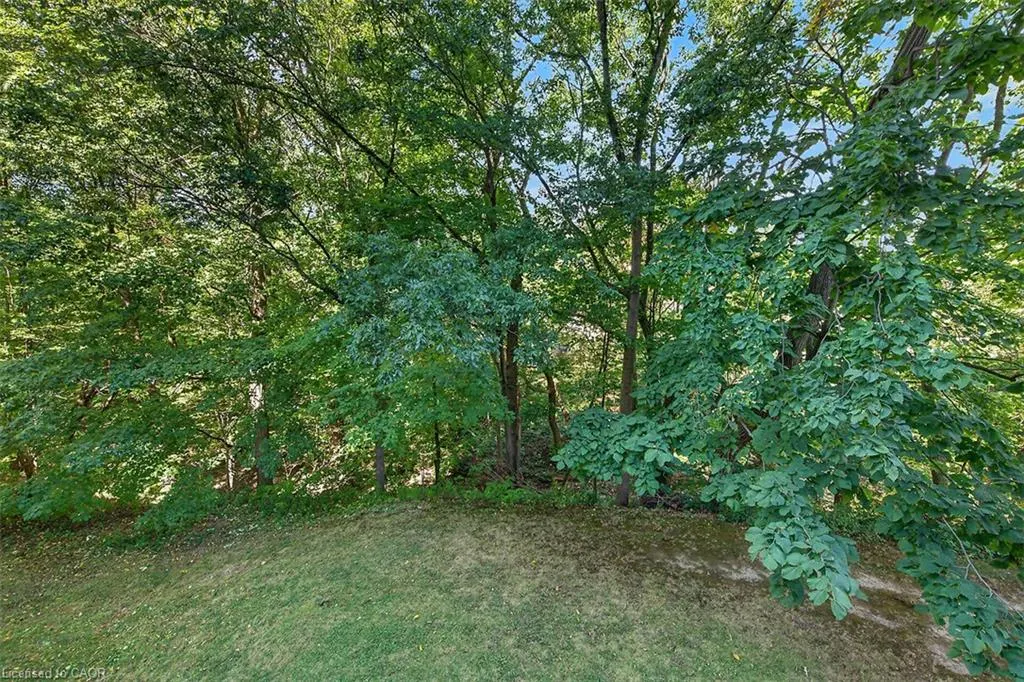 6 Village Green Boulevard #202