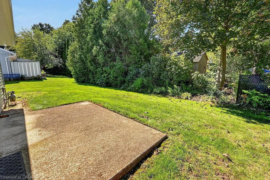 4 Rossmore Avenue #8