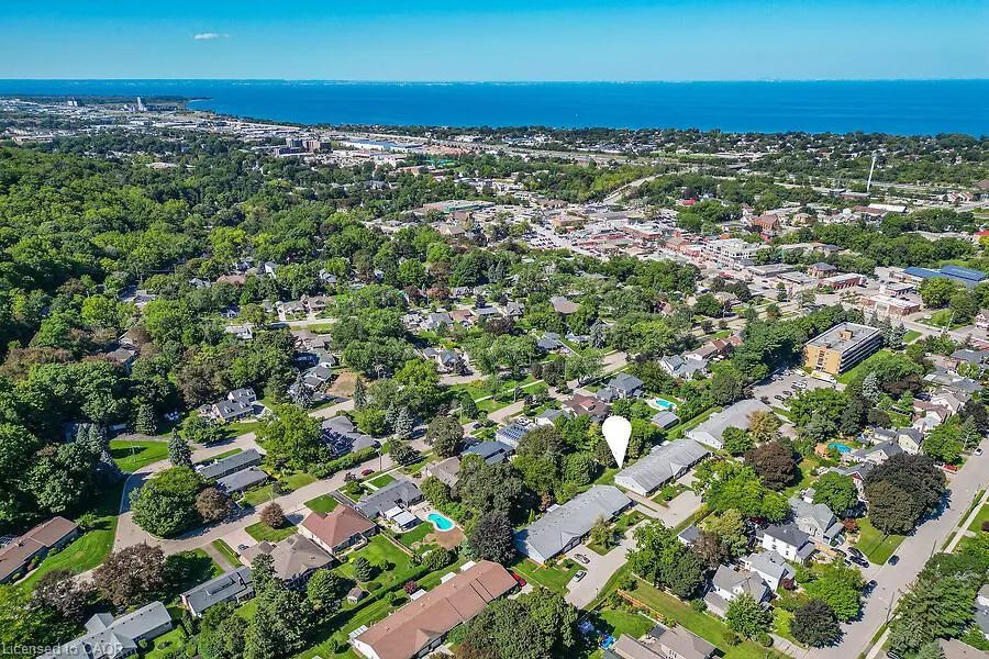4 Rossmore Avenue #8
