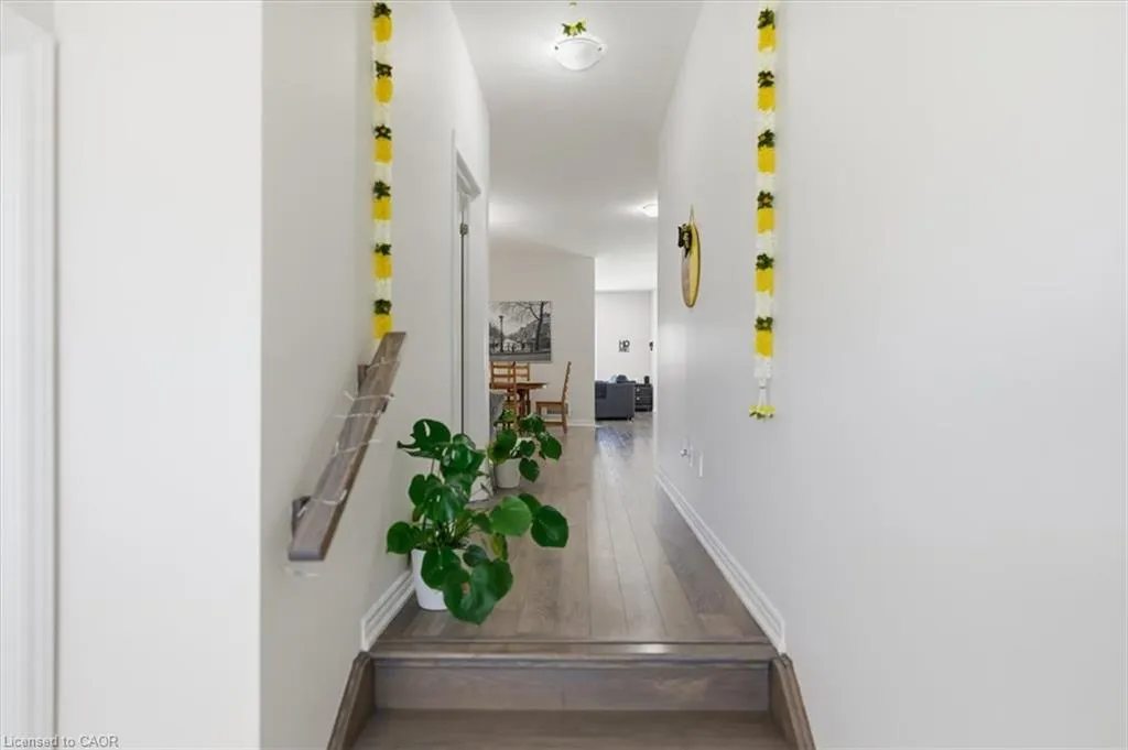 15 Moriarity Drive