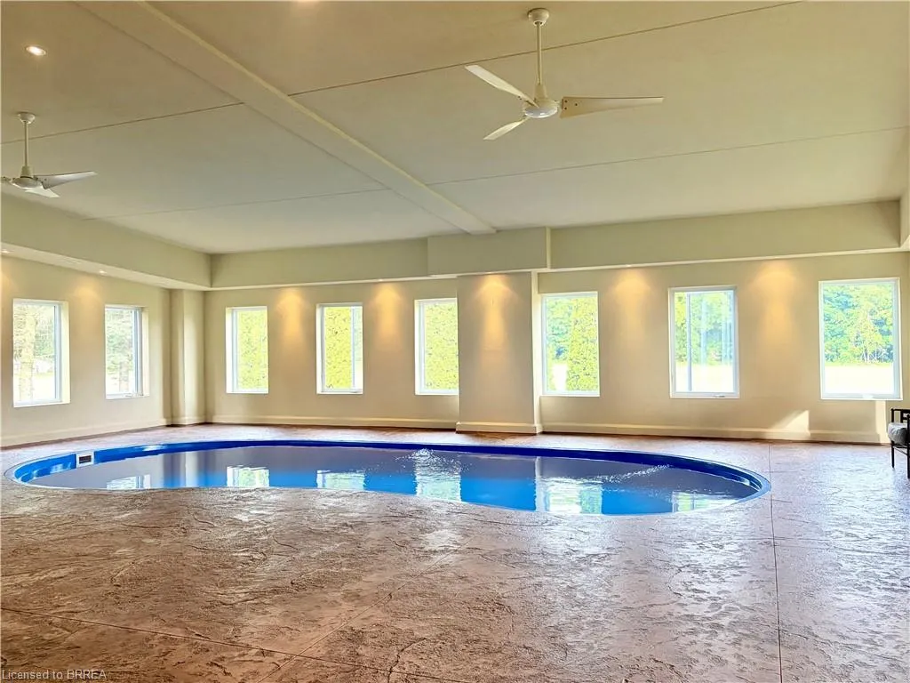 81 Mcgill Road
