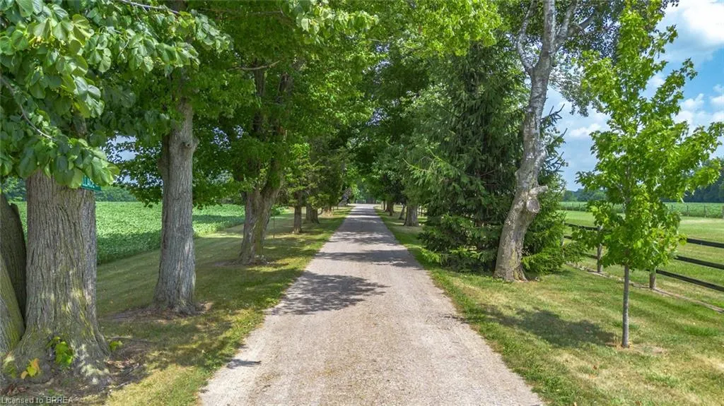 81 Mcgill Road