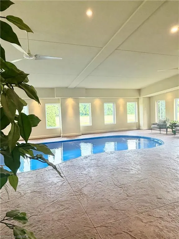 81 Mcgill Road