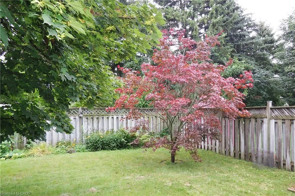 219 Foxhunt Road
