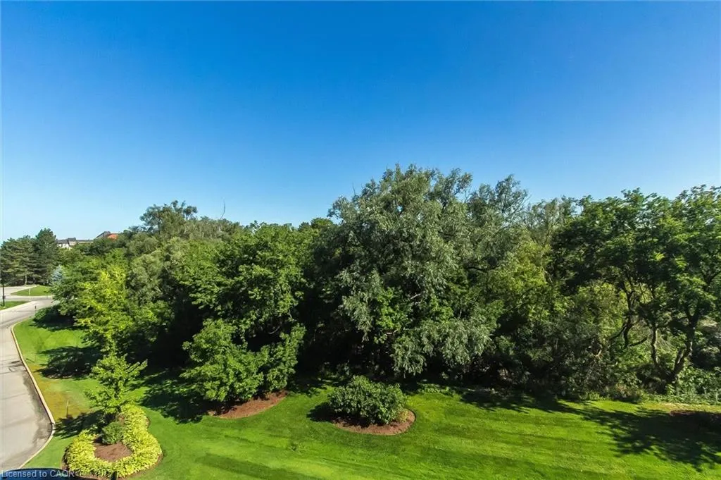 55 Blue Springs Drive #706