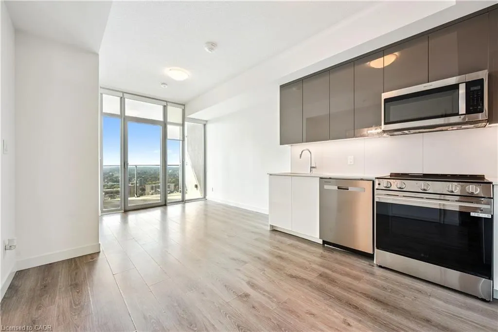 60 Frederick Street #2913