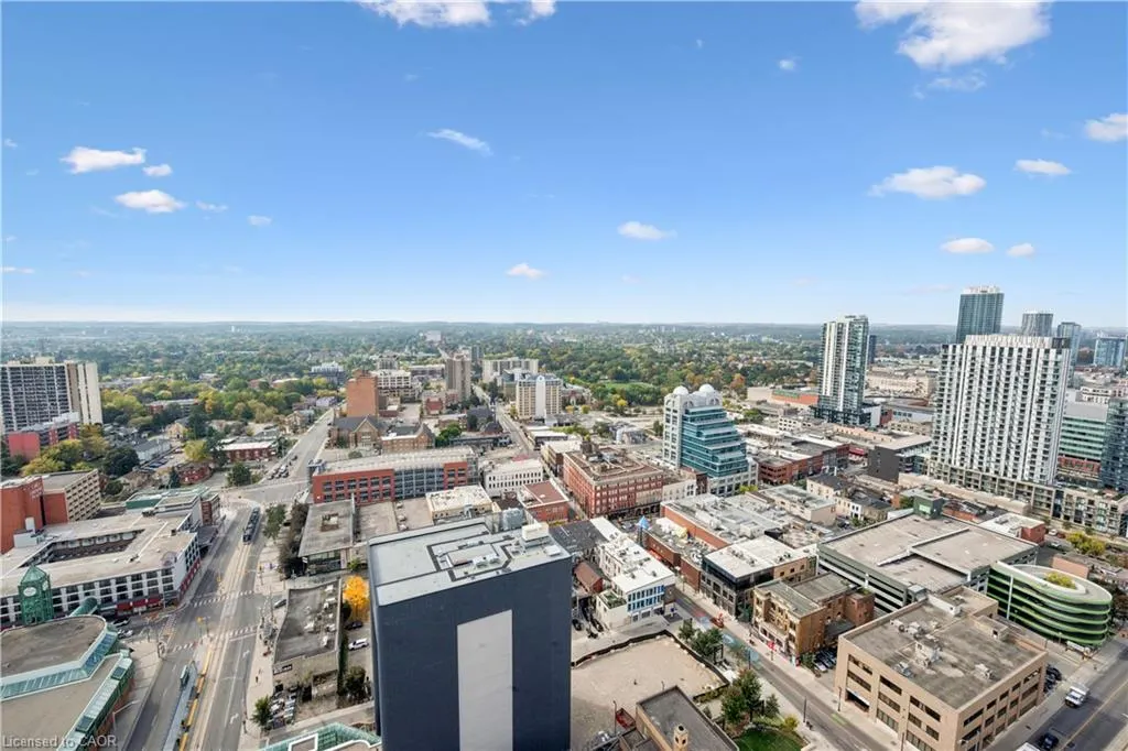 60 Frederick Street #2913