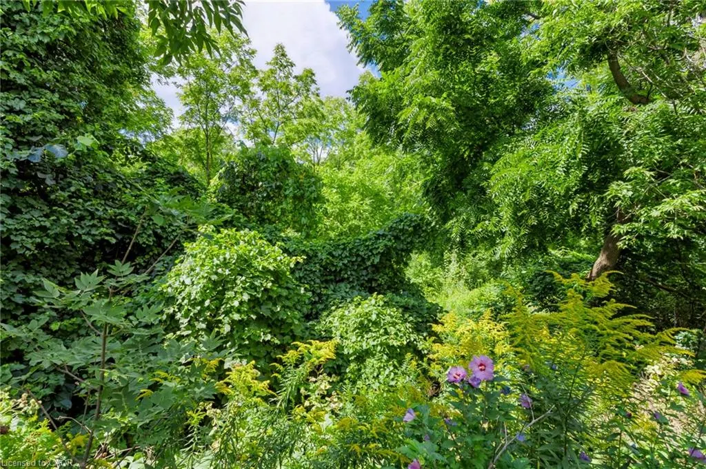 5151 Upper Middle Road #11
