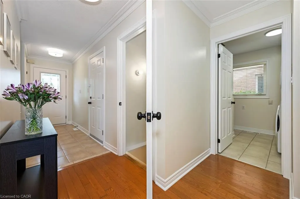 311 Malick Street