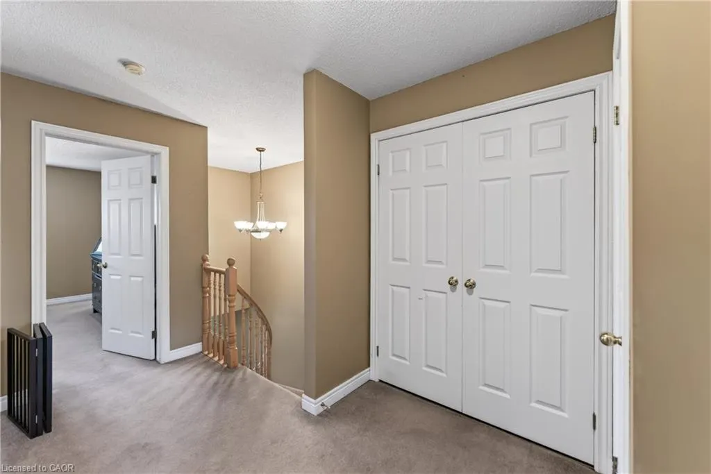 11 Elderberry Avenue