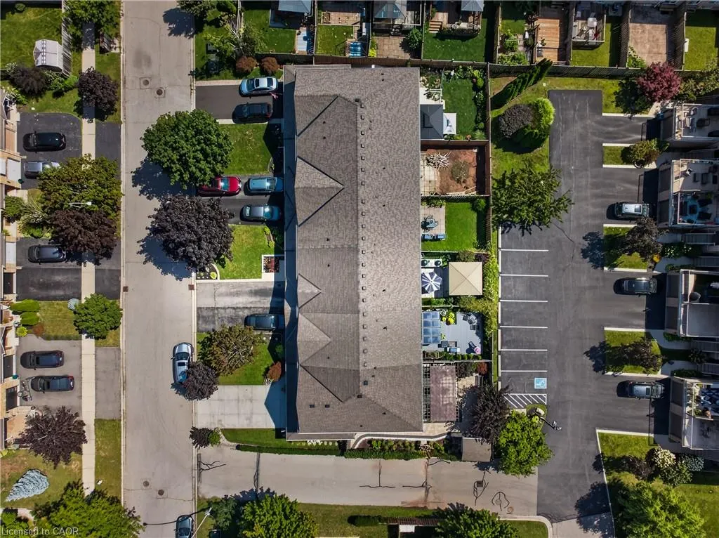 11 Elderberry Avenue