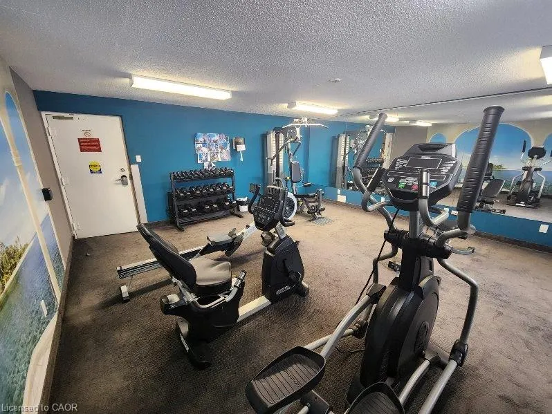279 Chandler Drive #706