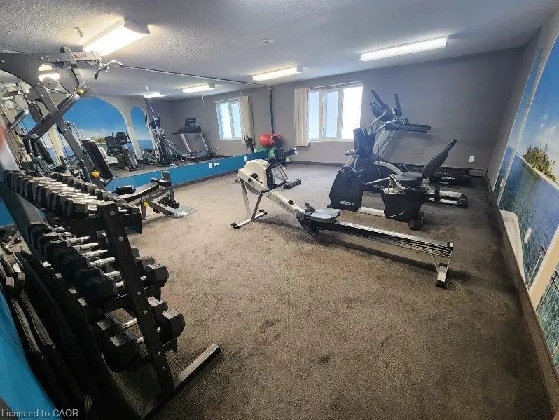 279 Chandler Drive #706