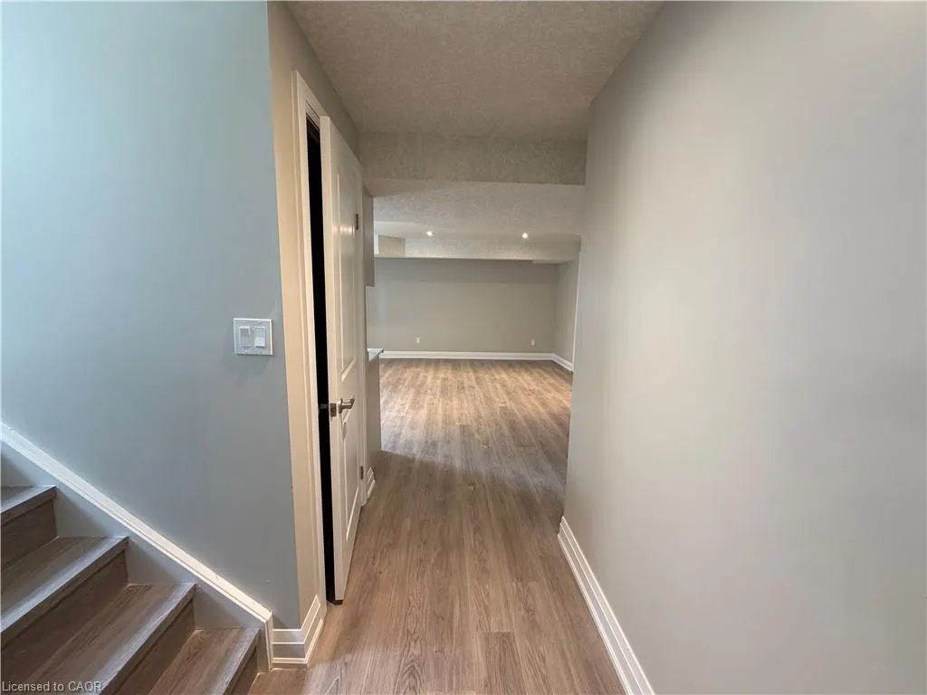502 Sundew Drive #BASEMENT