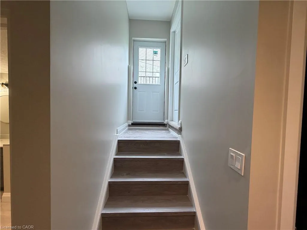 502 Sundew Drive #BASEMENT