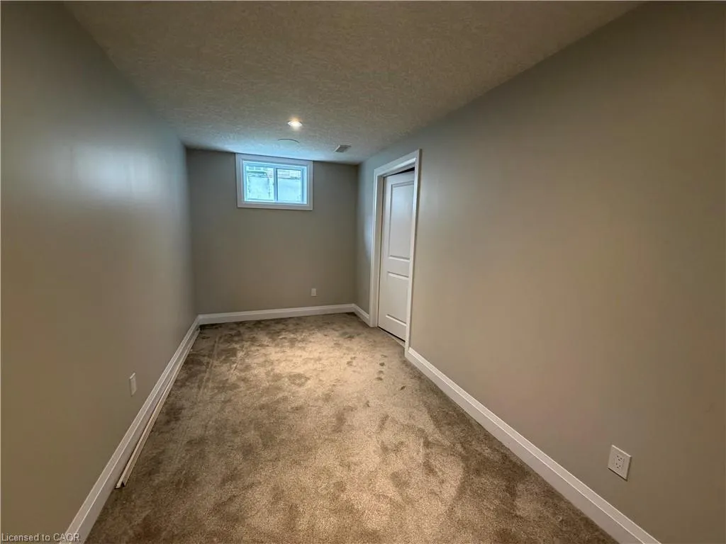 502 Sundew Drive #BASEMENT