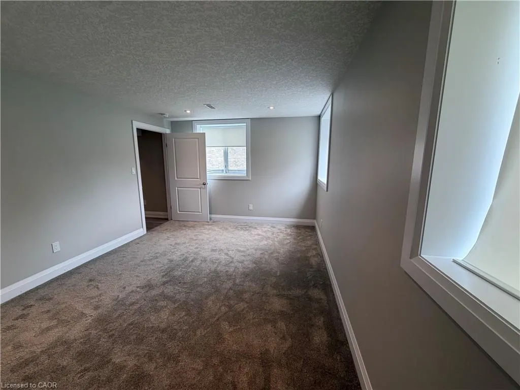 502 Sundew Drive #BASEMENT