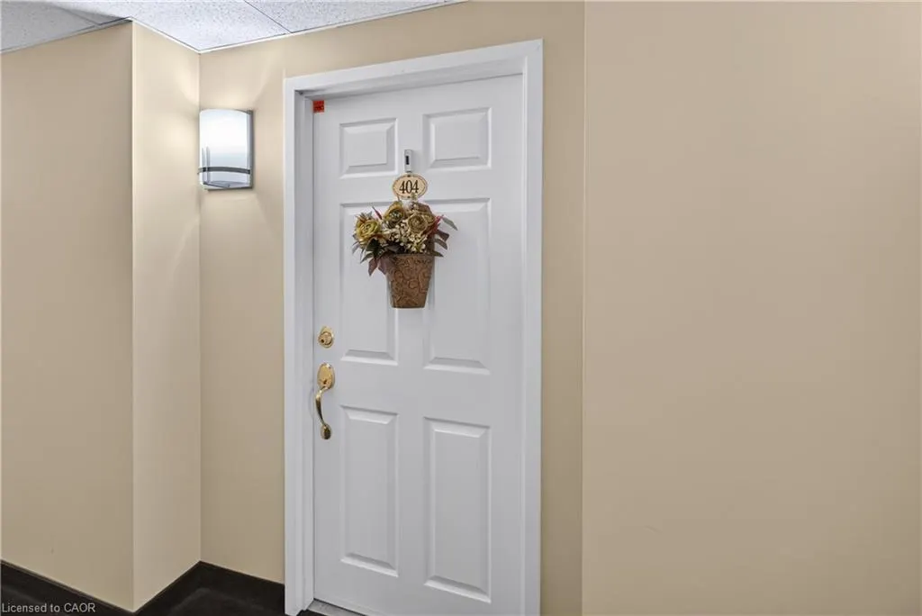 216 Plains Road #B404