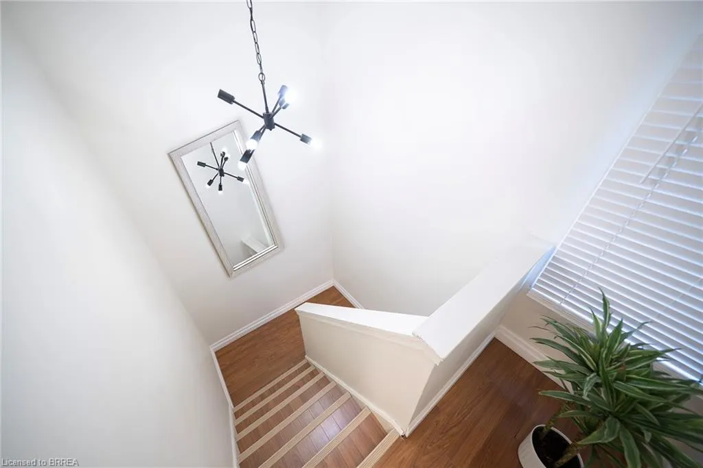 273 Elgin Street #41