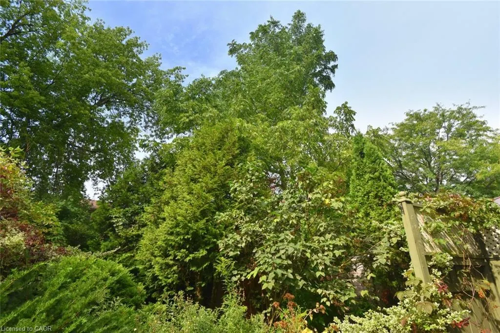 81 Aylmer Crescent