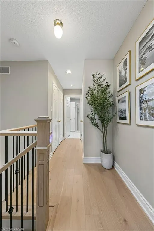 2024 Grovetree Lane