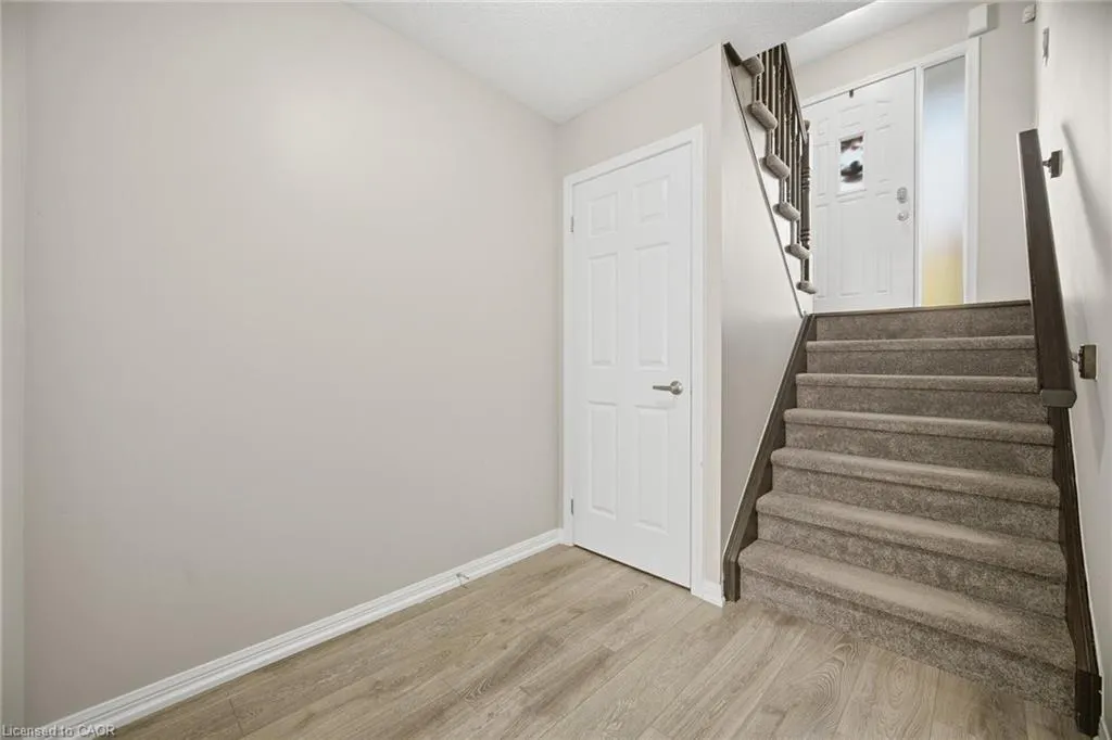 59 Ohara Lane