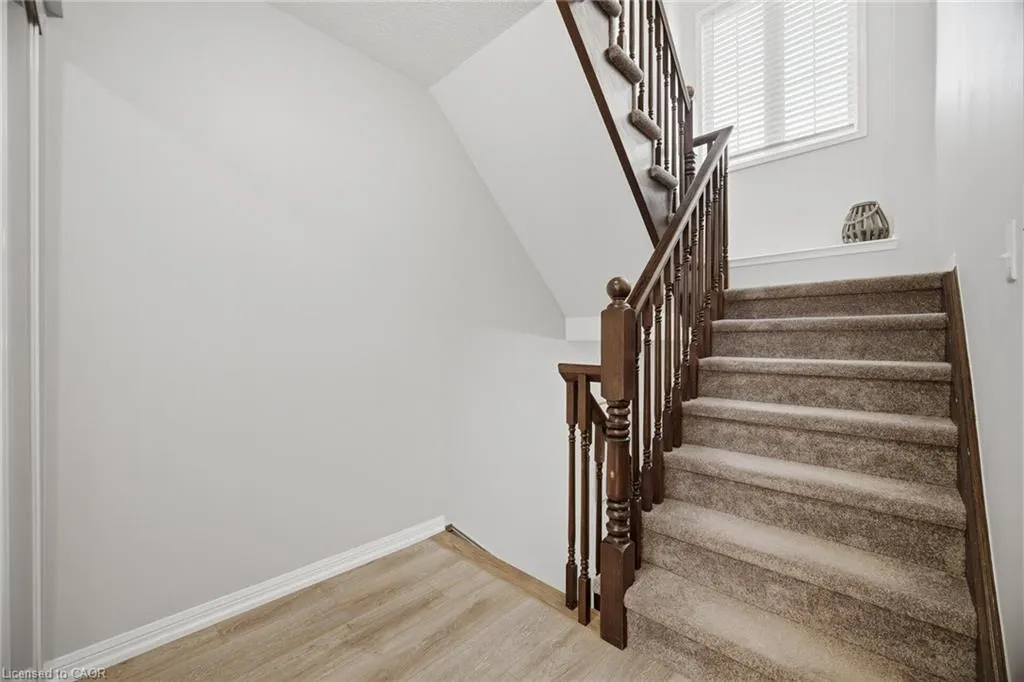 59 Ohara Lane