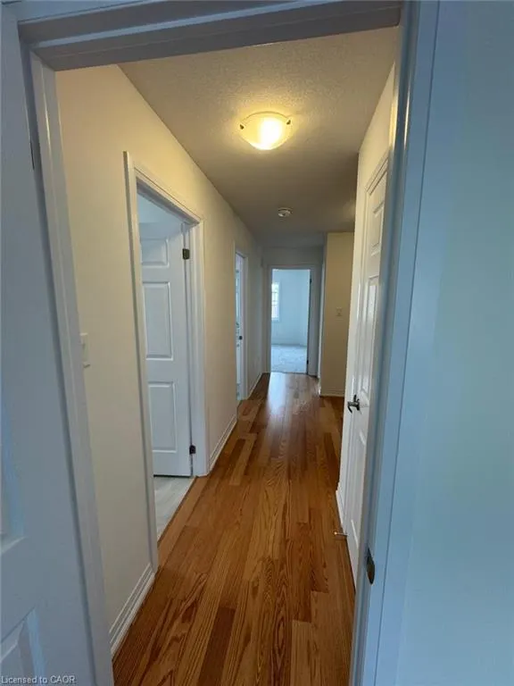 19 Lemon Avenue