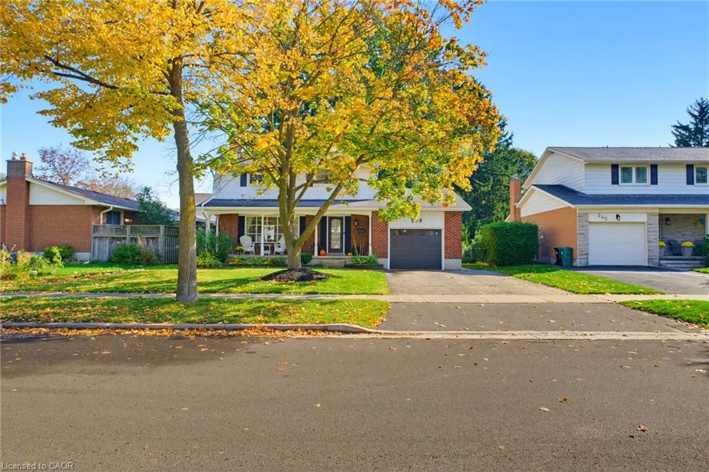 239 Carson Drive