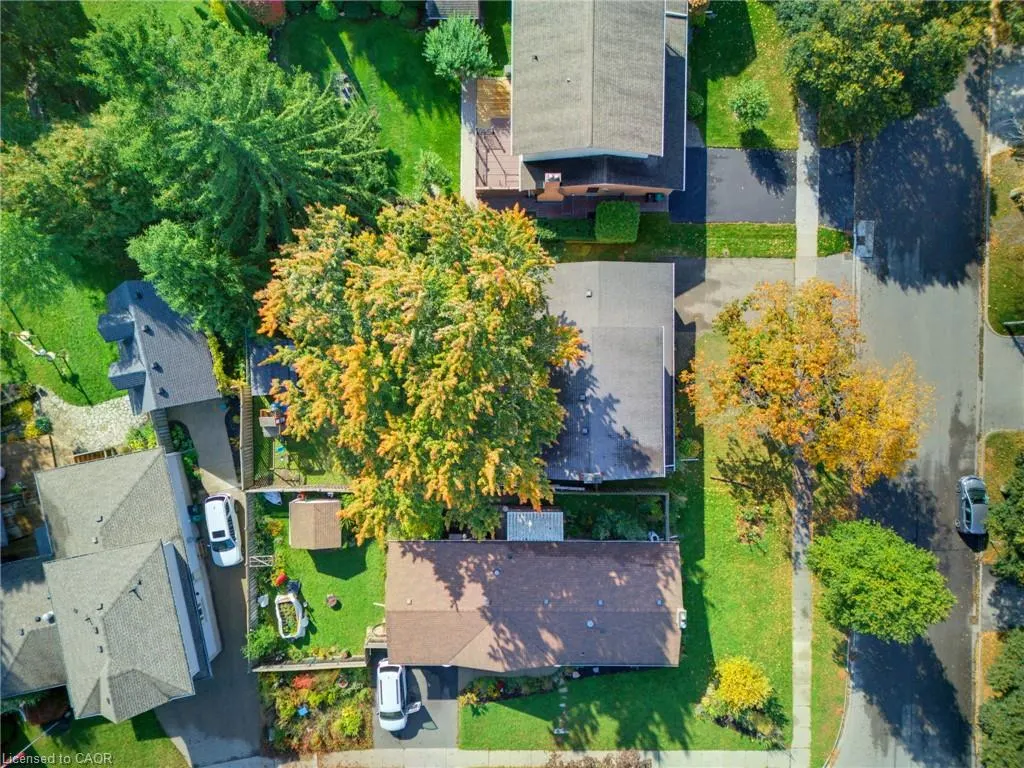 239 Carson Drive