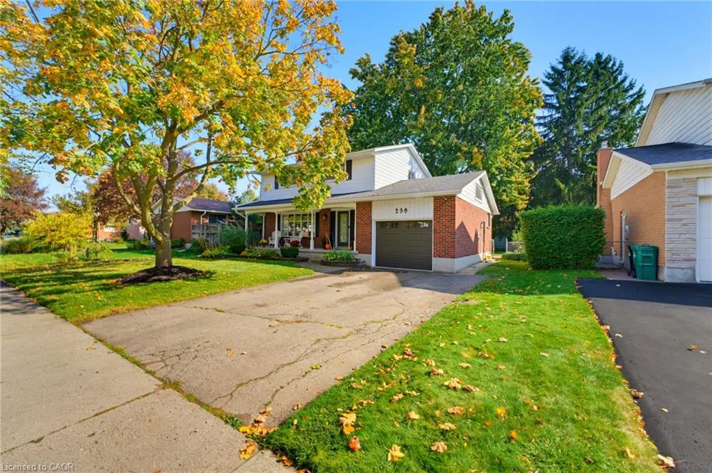 239 Carson Drive
