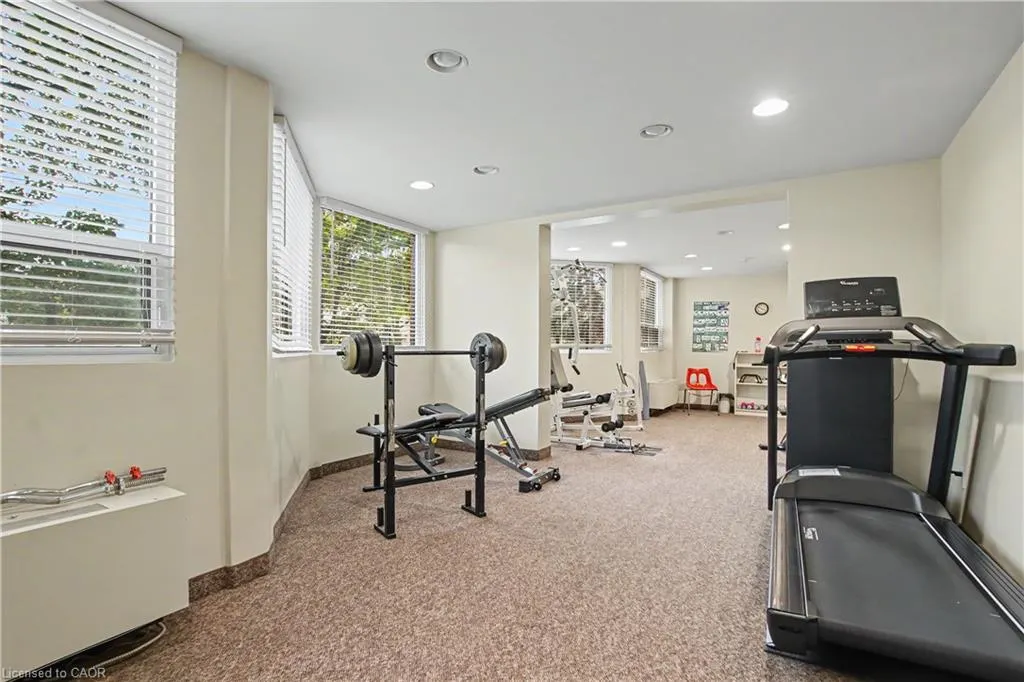 20 Ellen Street E #207