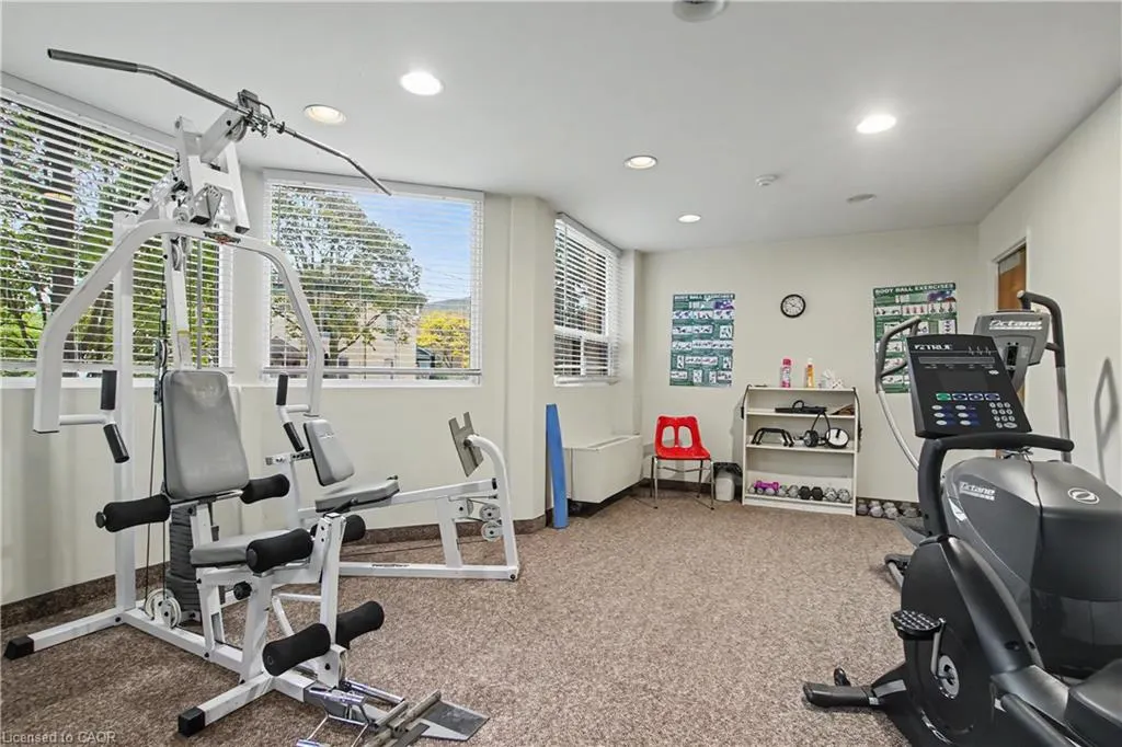 20 Ellen Street E #207